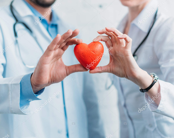 Hands holding a heart